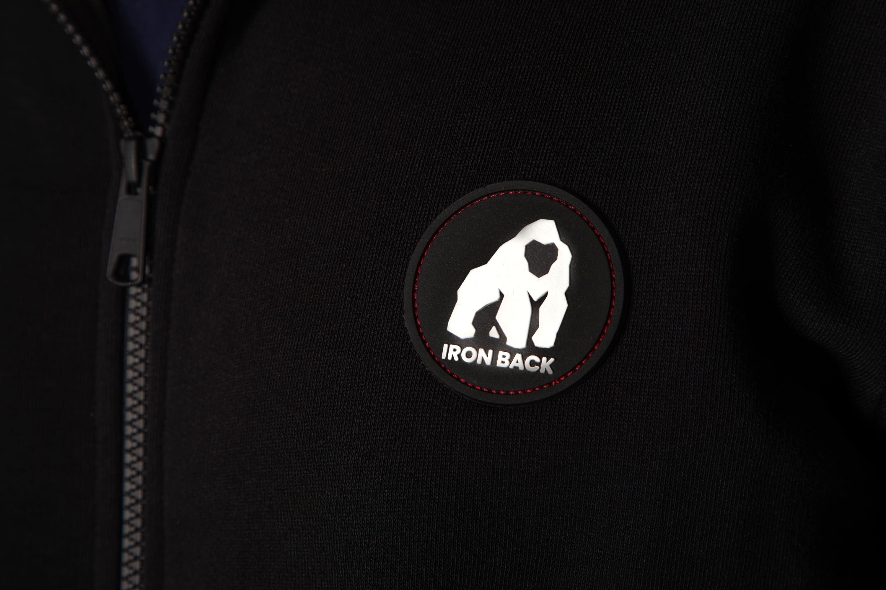 Iron Back a réussi sa campagne de financement, quelle est la suite ?